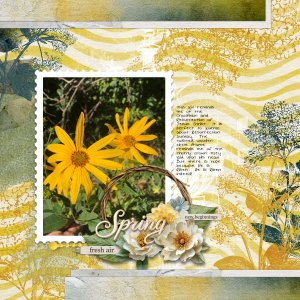 Spring Renewal First Try