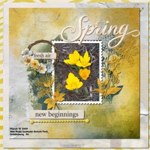 Spring in the Park