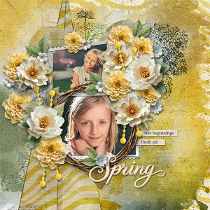 Spring Musing