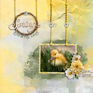 AOM-06 - Spring is in the Air