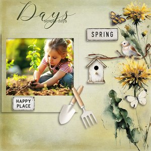 Simple Days.jpg