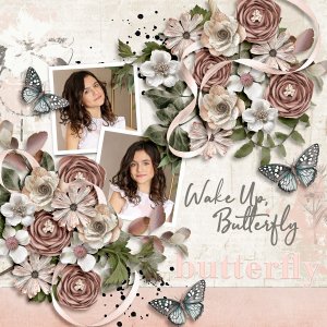 Emergence from the cocoon-Collection