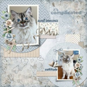 It's Complicated (AOM 4/10)