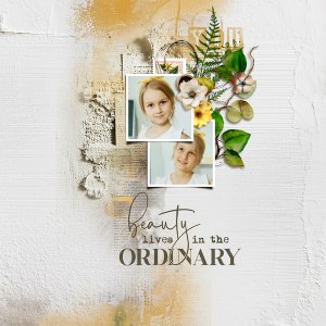 Beauty lives in the ordinary