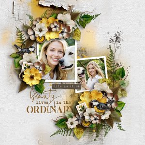 Ordinary