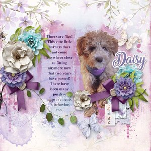 Tiramisu Extraction Challenge w-template