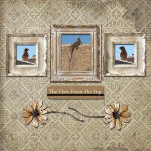 Day 14 Gallery 8x8 72.jpg