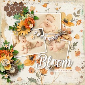 Baby Bloomer