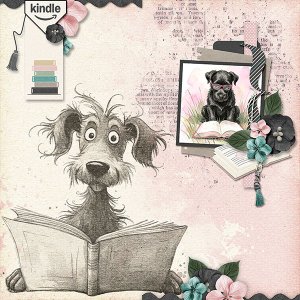 Lost In The Pages