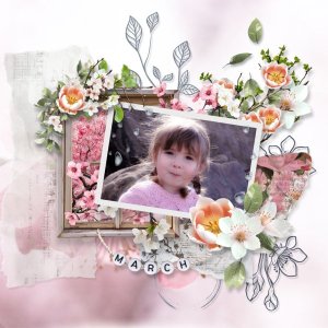 Between garden and paper