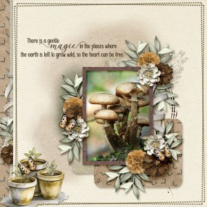 Natures-Nook