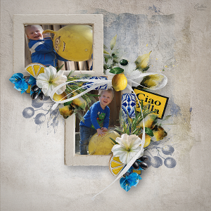 AOM Regina Falango designs 27-04.png