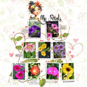 My Petals