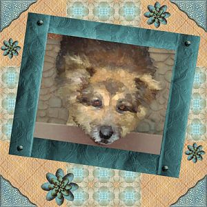 Doggy Painting