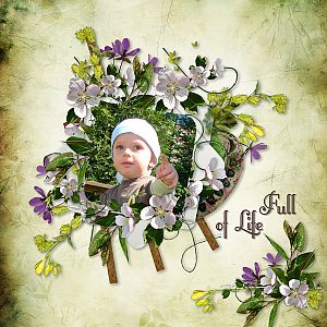Full of Life