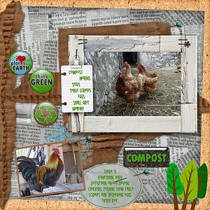 Chickens - Nature's Recyclers