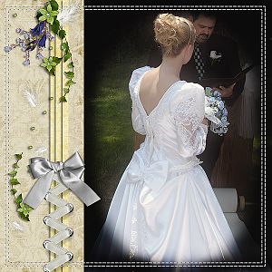 The Dress