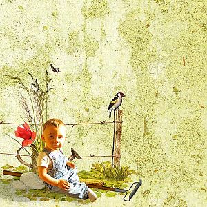 le temps des moissons II