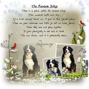 The Rainbow Bridge