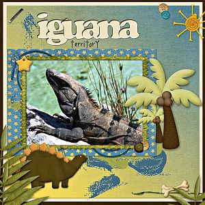 Iguana Territory