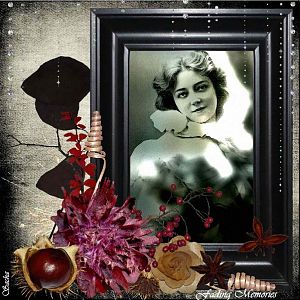 ~ *** Fading Memories *** ~
