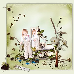 Tiramisu_design_Amelie