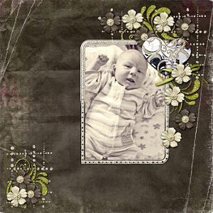 Snap Scrap