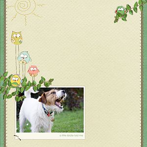 A little birdie told me