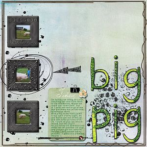 big pig