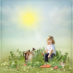 little garden