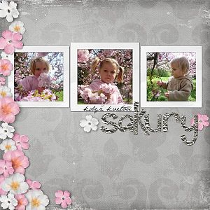 Sakuras are In Bloom