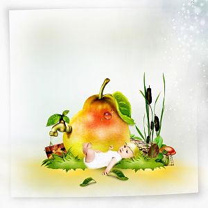 Mon jardin ensoleill
