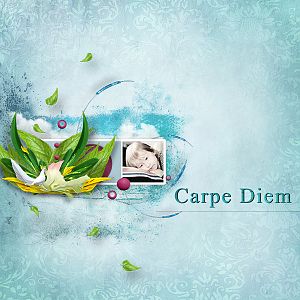 carpe diem