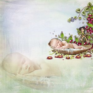 The_festival_of_Fairies