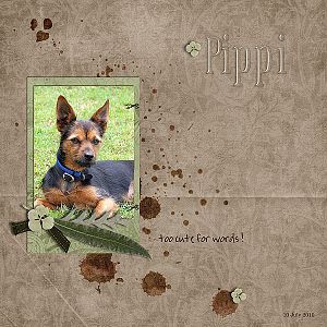 Pippi - too cute for words