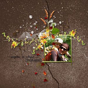 The Garden of My Little Crazy