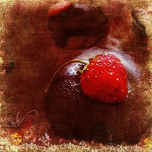 chocolate
