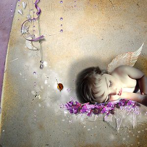 all your dreams