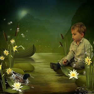 Magic Night by Shulyansky Design