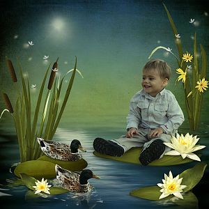 Magic Night by Shulyansky Design