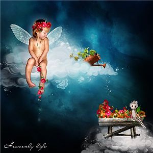 Heavenly Life