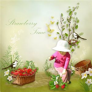 Strawberry Time1