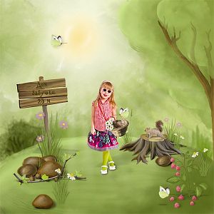 Forest Walk
