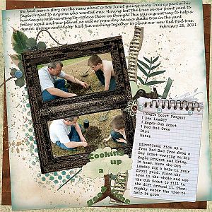 Planting Up  a Treely Good Time