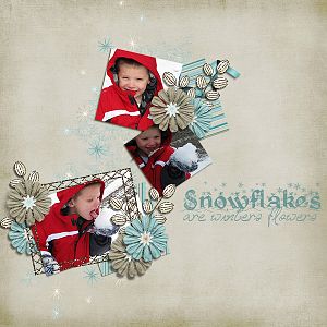 Snowflakes