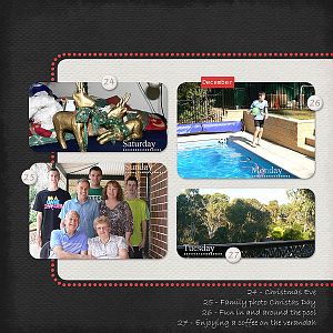 Project 365 - Week 52a