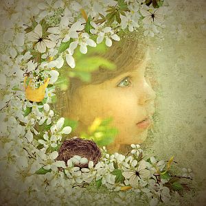 Spring breeze