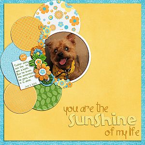 You are the Sunshine of my life.