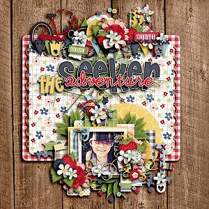 The Adventure Seeker