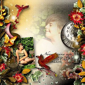 never give up dreams